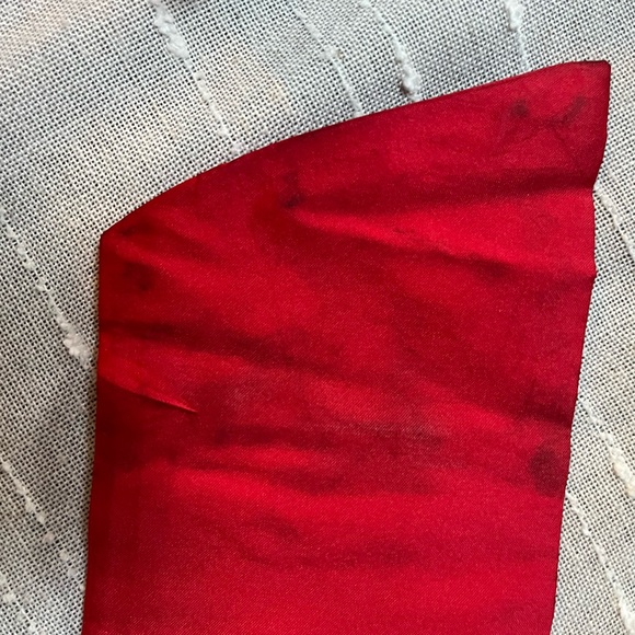 Eva by Eva Franco Retro Red Party Dress - Picture 14 of 14